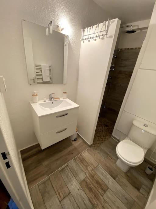 Studio Cabine Avec Jardin Διαμέρισμα Canet-en-Roussillon Εξωτερικό φωτογραφία